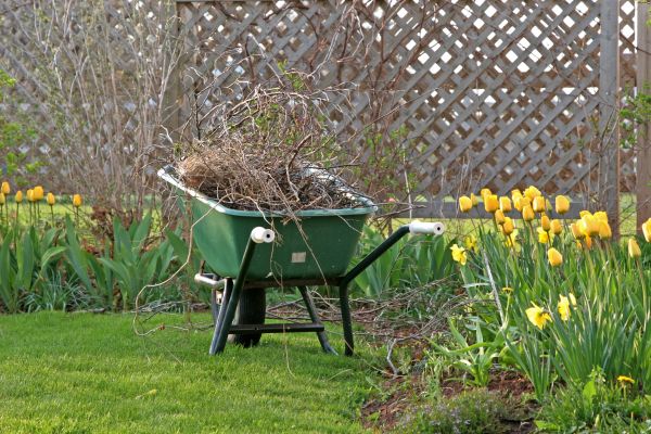 Flower Bed Cleanup Service in Longwood