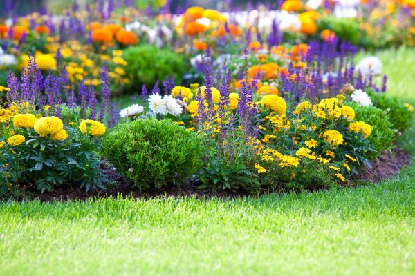 Flower Bed Maintenance in Longwood