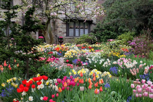 Garden Maintenance Service in Longwood