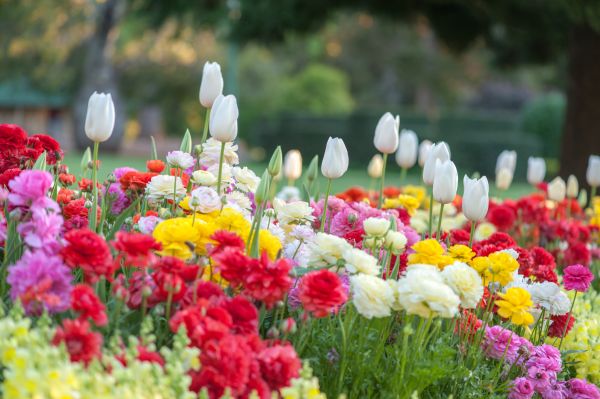 Gardening Service in Longwood