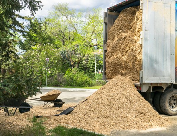Wood Chips Delivery in Longwood