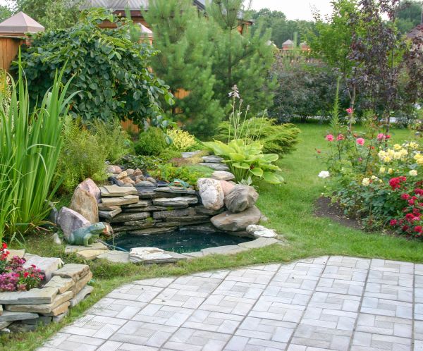 Yard Renovation in Longwood
