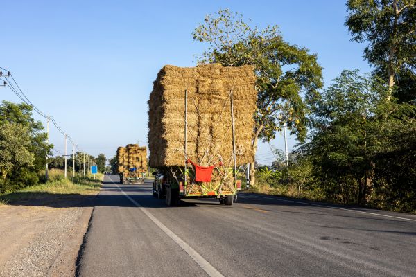 Pine Straw Delivery in Longwood