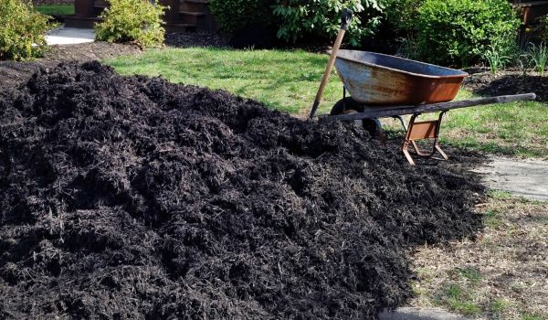 Black Mulch Delivery in Longwood