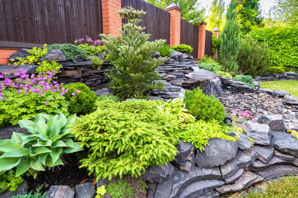 Landscape Remodeling in Longwood