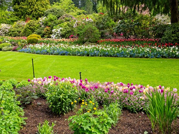 Residential Landscape Design in Longwood