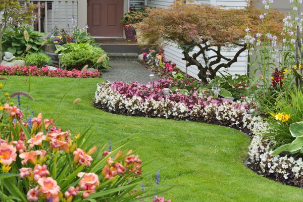 Perennial Landscaping in Longwood