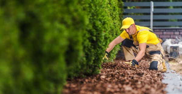 Cypress Mulch Installation in Longwood