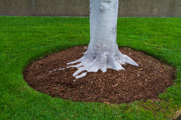 Brown Mulch Installation in Longwood