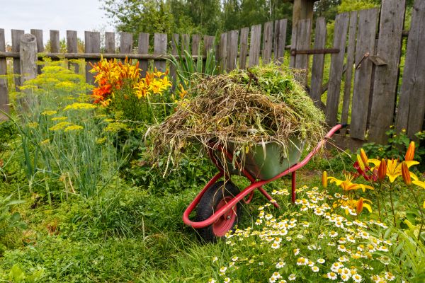 Garden Cleanup Service in Longwood