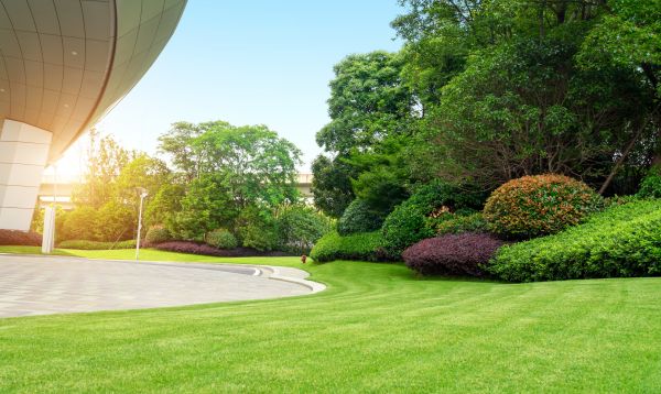 Business Landscape Design in Longwood
