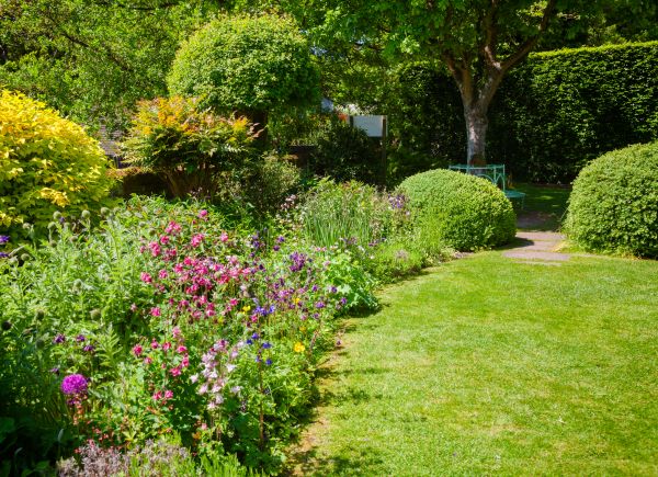 Yard Landscaping Service in Longwood