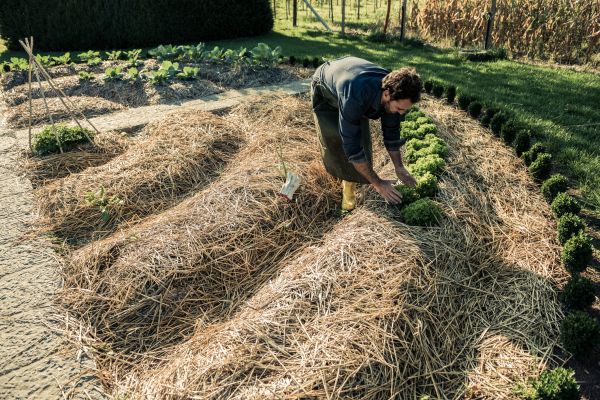Straw Mulching Service in Longwood