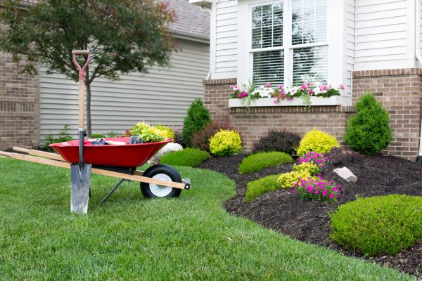 Tree And Shrub Planting in Longwood