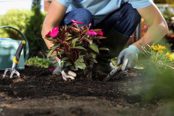 Plant Installation in Longwood