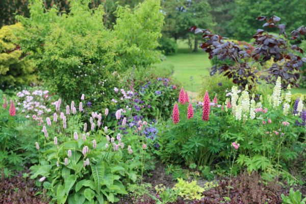 Flower Bed Planting in Longwood