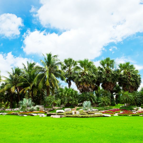 Tropical Landscaping in Longwood