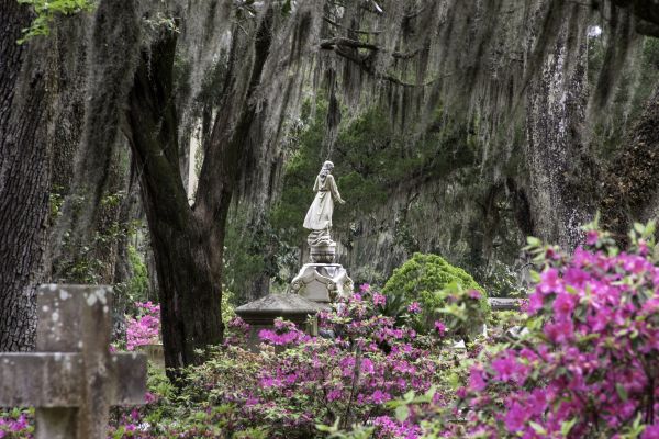 Cemetery Landscaping in Longwood