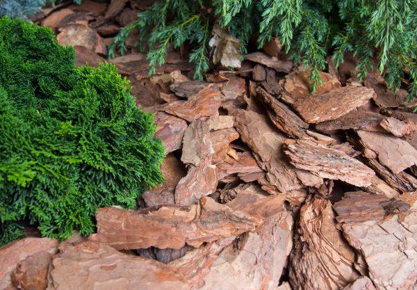 Pine Bark Installation in Longwood