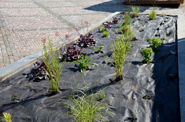 Landscape Fabric Installation in Longwood