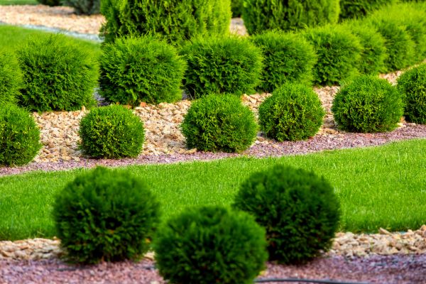 Bush Installation in Longwood
