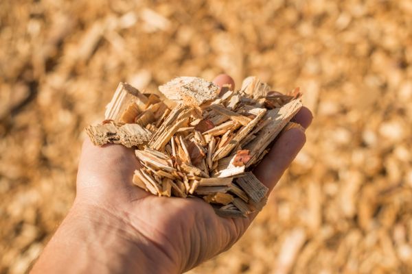 Wood Chips Spreading in Longwood