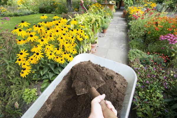 Topsoil Replacement in Longwood