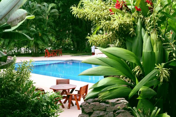 Pool Area Landscaping in Longwood