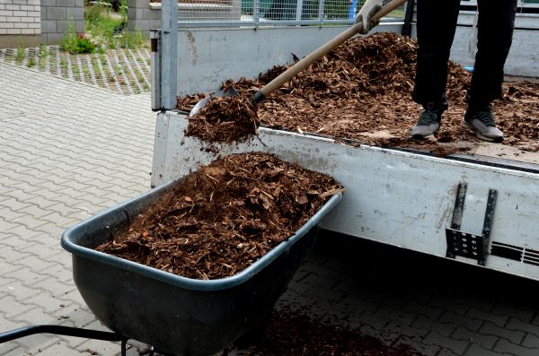 Playground Mulch Delivery in Longwood