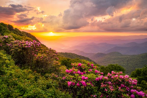 Hill Landscaping in Longwood