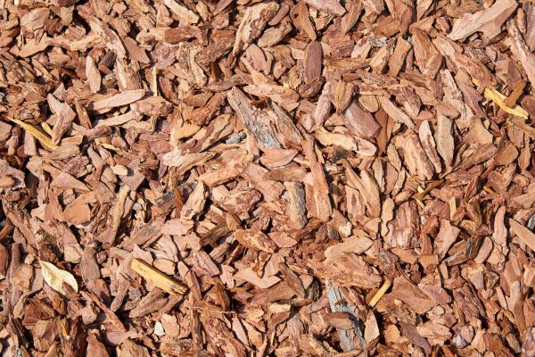 Pine Mulch Spreading in Longwood