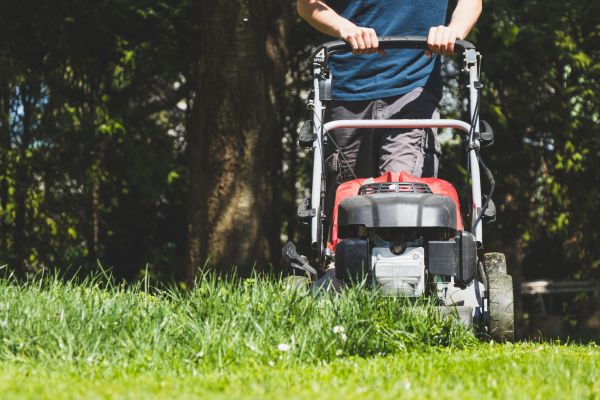 Garden Trimming Service in Longwood
