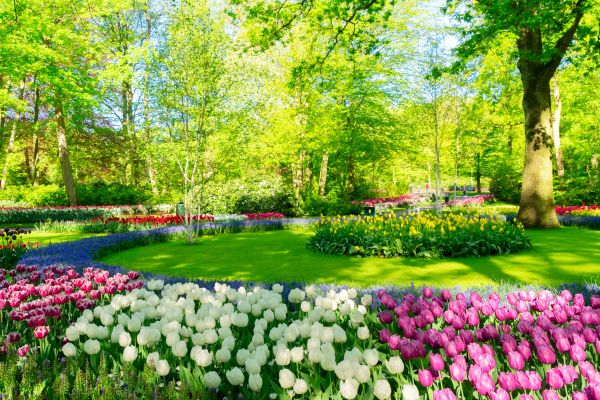 Flower Landscaping in Longwood