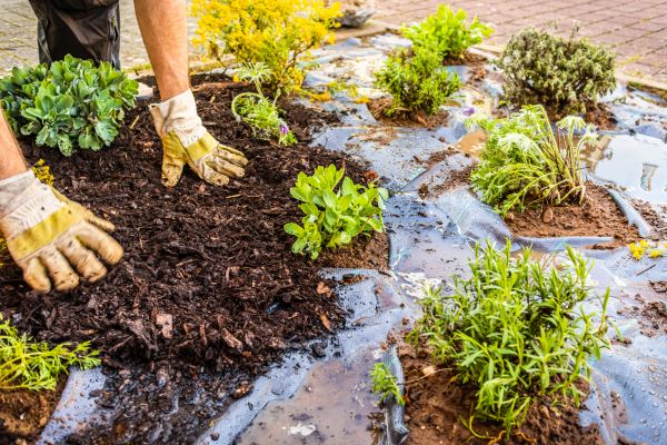 Mulch Fabric Installation in Longwood