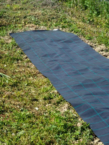 Weed Suppressant Installation in Longwood