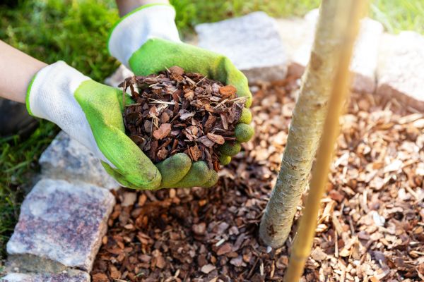 Tree Bark Delivery in Longwood