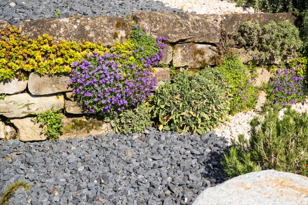 Landscaping Rocks Installation in Longwood