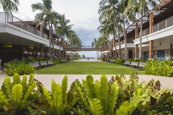 Commercial Lawn Renovation in Longwood