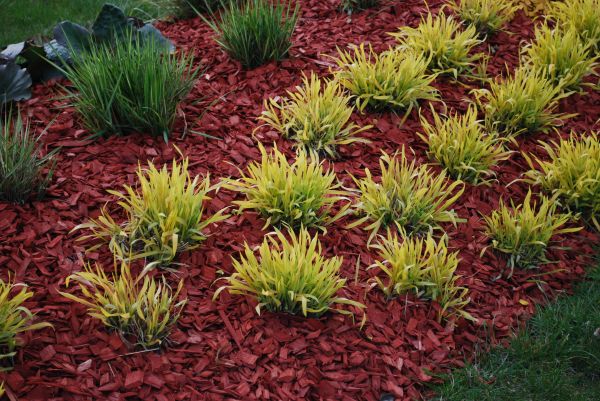 Red Mulch Installation in Longwood
