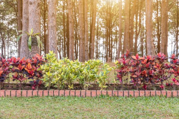 Small Garden Landscaping in Longwood