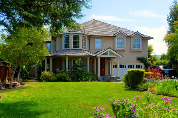 Large Yard Landscaping in Longwood
