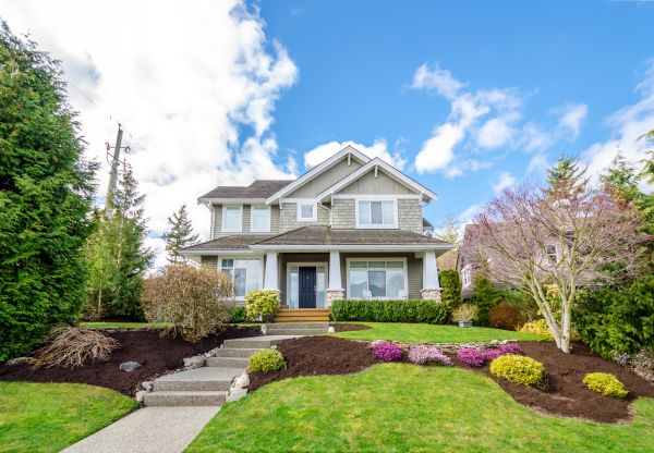 Landscaping Replacement in Longwood