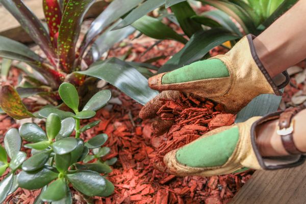 Residential Mulching in Longwood
