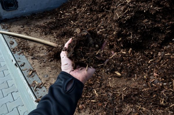 Condo Mulching in Longwood