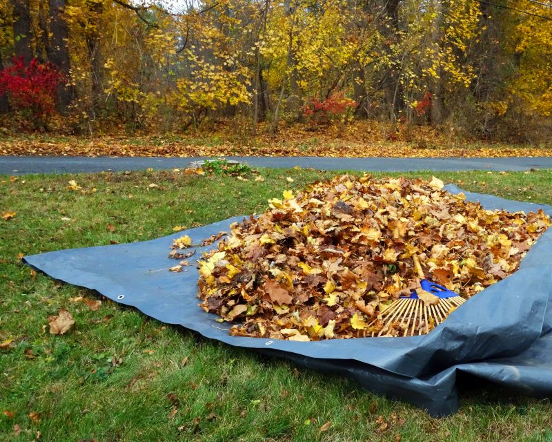 Autumn Landscape Preparation